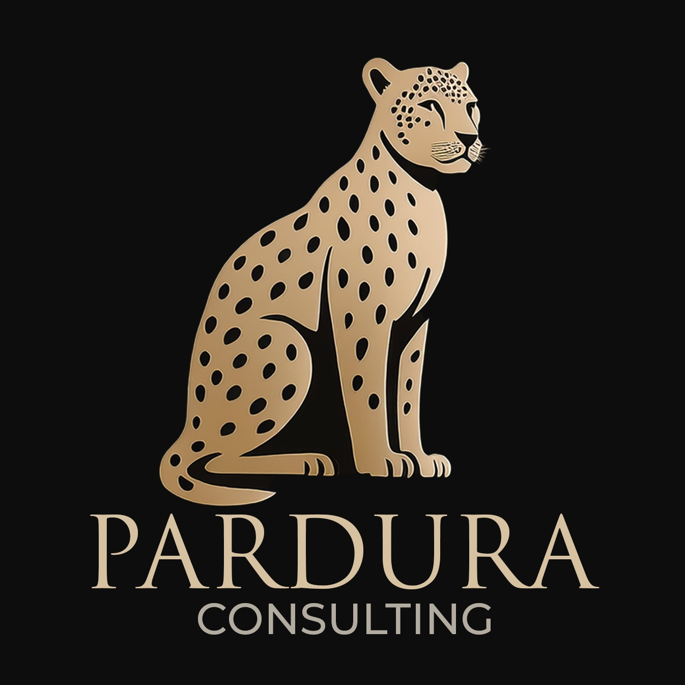 Pardura Consulting logo